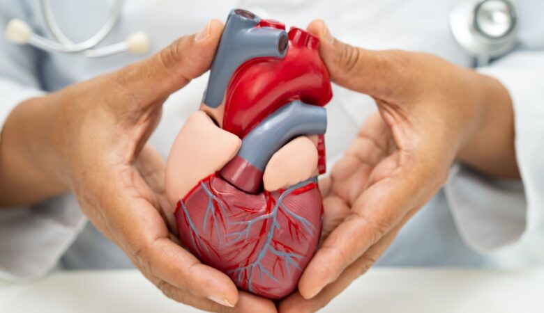 Cardiovascular Diagnostic –  A Guide to Heart Health Assessment