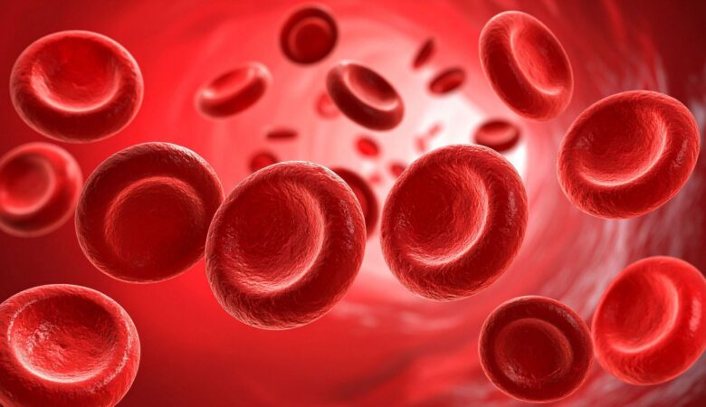 Proven Advanced Blood Test Profiling for Complete Health